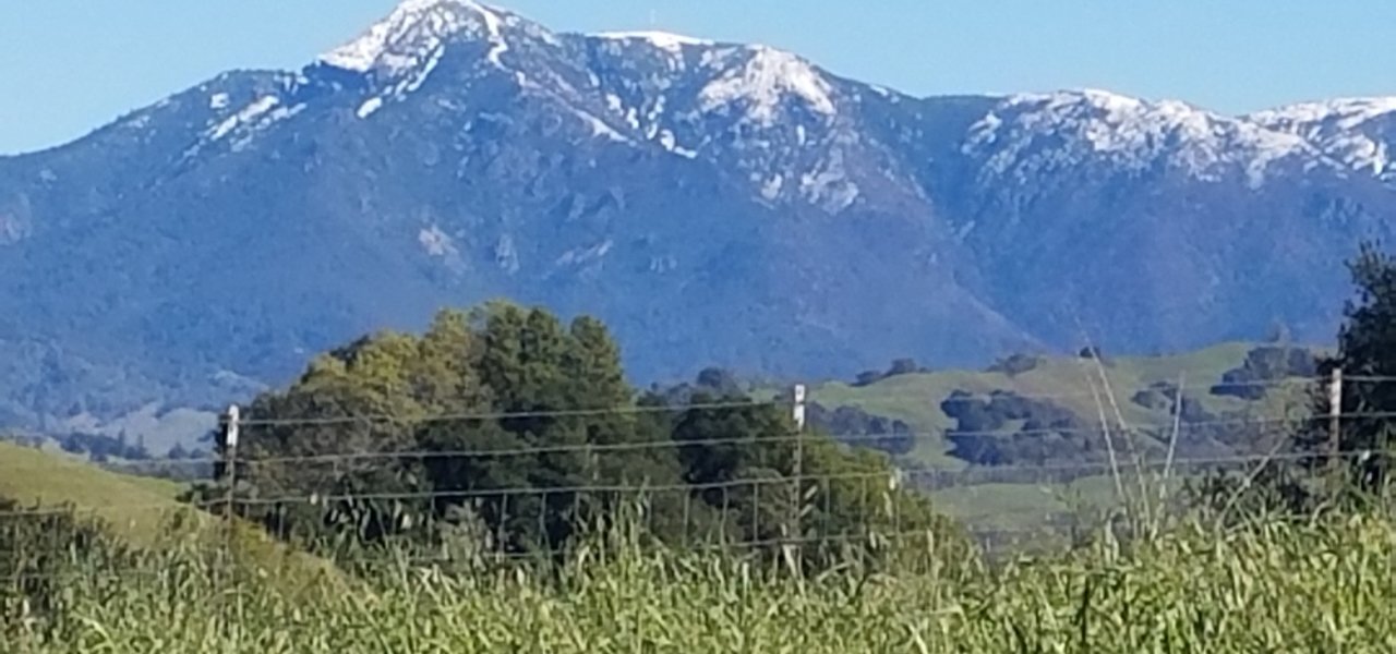 wine tourism napa valley - Wine Paths